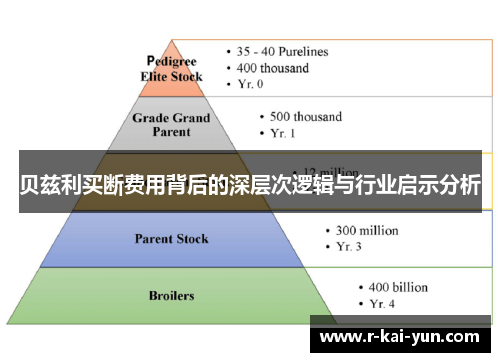 贝兹利买断费用背后的深层次逻辑与行业启示分析